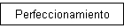 Perfeccionamiento