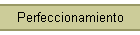 Perfeccionamiento